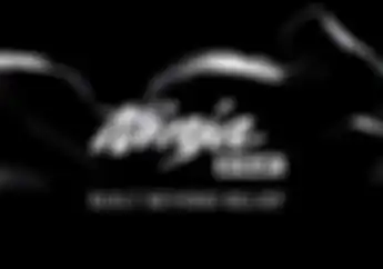 Siap-siap! Kawasaki Bakal Rilis 3 Motor Baru, Salah Satunya All New Ninja 250