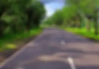 Banyak yang Gagal Paham, Ini Arti Garis Putih di Jalan