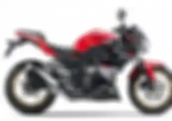 Kawasaki Z250 Langka Bahkan Jarang Terlihat Dijalan, Ada Apa Ini?