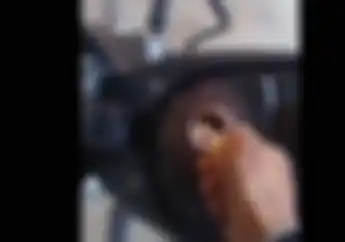 Cuma Orang Ini yang Bisa! Tangki di Bakar, Digeber-geber Tapi Motor Enggak Meledak Simak Videonya