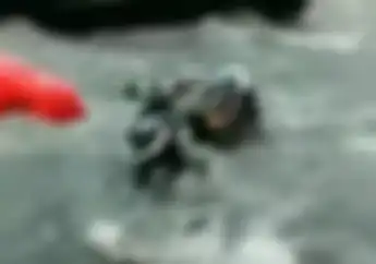 Astaga! Video Detik-detik Yamaha Mio Terseret dan Terguling Diterjang Banjir