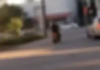 Ngebut! Pemuda  Cebol Ini Hajar Tiang Rambu Lalu Lintas, Lihat Videonya Apa yang Terjadi 