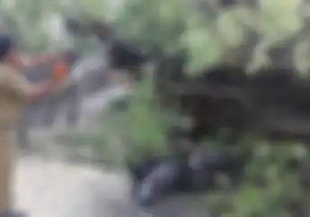 Simak! Uang Tunai Rp 15-50 Juta Bisa Didapat Bikers yang Motornya Kena Musibah di Jalan Raya