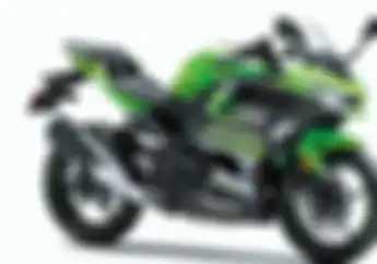 Kocak Abis! Dikira Rumput, Kawasaki Ninja 400 Warna Hijau Ini Dimakan Seekor Domba