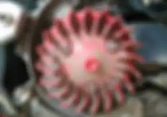Aman Enggak Sih Pakai Kipas Variasi di Motor Matik? Ini Penjelasannya
