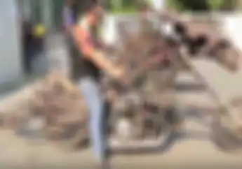 Bikin Melongo! Video Modifikasi Motor-motor Aneh, dari Dinosaurus, Tengkorak Sampai Motor Raksasa