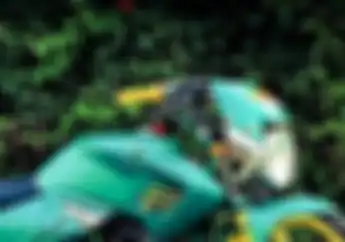 Penistaan! Masa Macan Tua Dipaksa Jadi Kucing Anggora