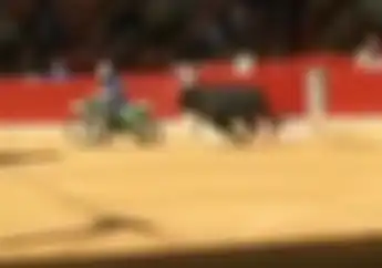 Nekat! Video Pengendara Trail Salah Lintasan dan Dikejar Banteng Galak, Ini yang Terjadi