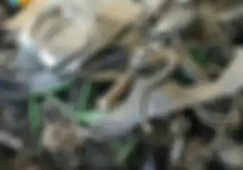 Harta Karun Super Mahal, Kawasaki H2 Rusak dan Berdebu Seperti Sampah
