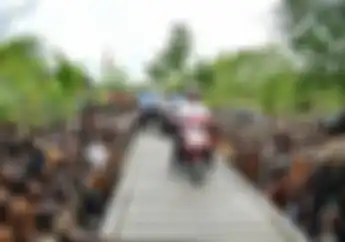 Siapa Sangka, Motor yang Dinaiki Presiden Jokowi di Papua Rakitan Gresik, Sudah Dipasarkan Lama!