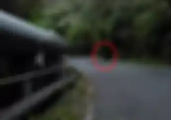 Bikers Wajib Waspada saat Melintasi Jalur Garut, Video Macan Kumbang Turun ke Jalan