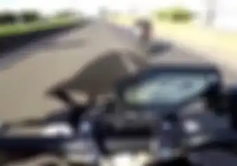 Sadis! Video Balap Yamaha MT09 Lawan Honda CB1000, Awalnya Bengis MT09 Akhirnya Pecundangi Lawan