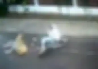 Ngeri, Detik-detik Santri Ditabrak Motor Dari Belakang Sampai Jumpalitan, Langsung Berdiri Tanpa Cedera