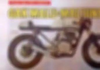 Nih Motor Kustom Dipakai Pria Berjenggot yang Ramai Di Medsos