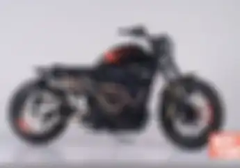 Harley-Davidson Sportster XL 1200 2003 Multi Purpose 