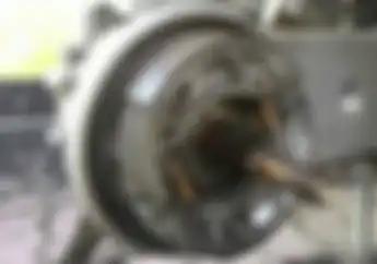 Oles Gemuk Biar Mudah Dicabut
