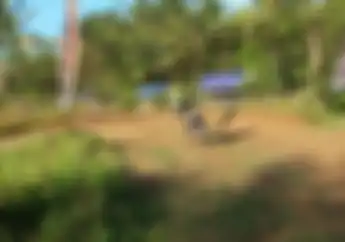 Grasstrack Pangandaran Pakai Sirkuit Baru Yang Panjang