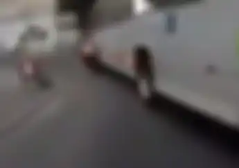 Video Detik-detik Pemotor Ditabrak dan Dilindas Bis di Jogja, Tapi Pemotor...