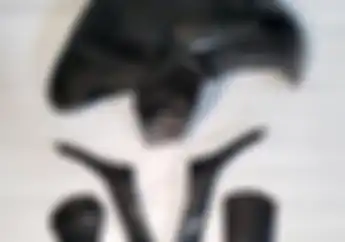 Pilihan Carbon Kevlar Yamaha XMAX  