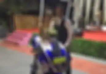 Pembalap Nasional Rey Ratukore Menikah Bertepatan Dengan Ultah Ke-62 Yamaha