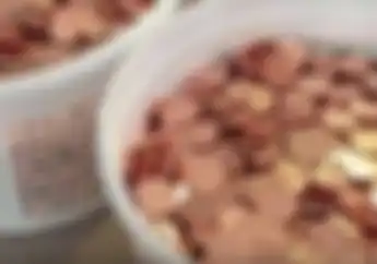 Video Cowok Kena Denda Tilang Rp 2 Jutaan Dibayar Pakai Koin Sebanyak 2 Ember