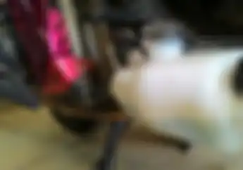 Motor Harian Pun, Wajib Periksa Tabung Cadangan