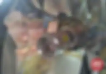 Pasang Bohlam Model LED di Motor Non LED Pastikan Arus DC