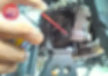 Cara Hilangkan Bunyi Tikus di Yamaha Scorpio