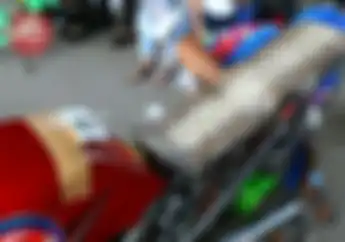 Unik !Kulit Ular Piton Jadi Jok Racing