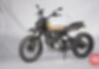 Honda Tiger Daily Scrambler
