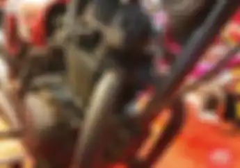 Virus Head Twin Port di Motor Modif Pekanbaru