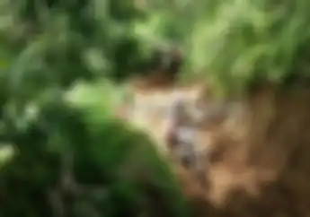 Susah Gass Pol Di Adventure Tasikmalaya