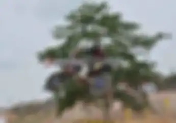 Hasil Moto 1 MX2 Junior Kejurnas Motocross Seri VIII, Aceh Timur