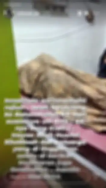 Unggahan Rohimah Alli