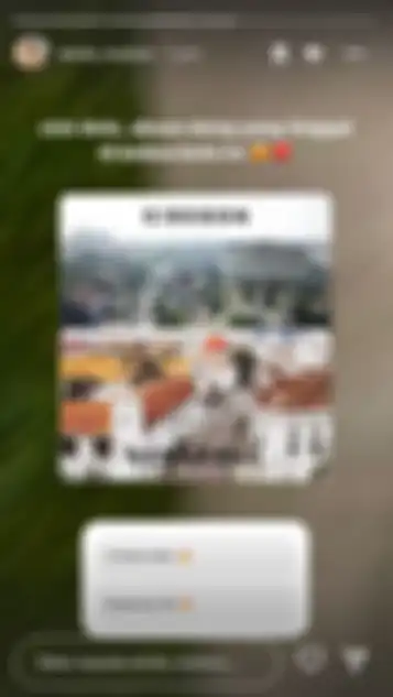 Unggahan Instagram Story Wirda Mansur.