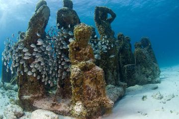 Museum bawah laut Cancun. Museum serupa juga dibangun di Amerika Serikat.
