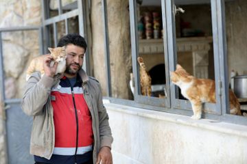 Berkat dedikasinya, Mohammed Alaa al-Jaleel mendapat julukan Manusia Kucing dari Aleppo.