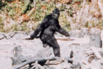 Kisah Manusia Mencari Jejak Bigfoot Selama 60 Tahun, Ini Awal Mulanya