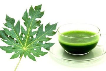 Cocok Sebagai Santap Siang, Daun Buah Ini Justru Manjur Kembalikan Energi Yang Hilang Saat Jadi Minuman