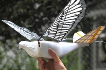 Tiongkok Luncurkan Drone Berbentuk Burung Untuk Mengawasi Warganya