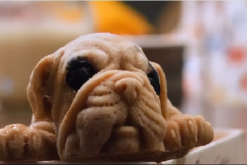 Mirip Seperti Aslinya, Buat Kita Tak Tega Santap Puppy Es Krim Ini