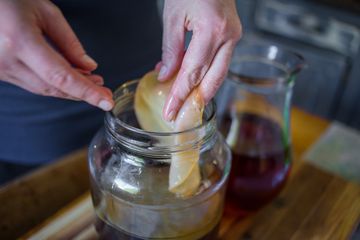 Kombucha direndam ke dalam teh.