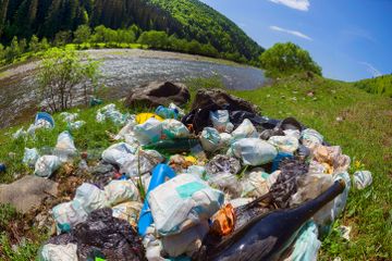 Mengubah Sampah Popok Menjadi Perabot Rumah Tangga, Bagaimana Caranya?