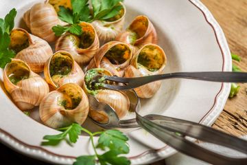 Memakan Siput Dapat Menyebabkan Kematian, Begini Penjelasannya