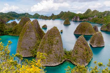 Menyelami Pesona Raja Ampat, Surga di Bumi Indonesia