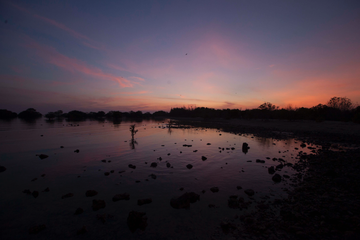 Senja di Taman Pendidikan Bakau Labuhan.