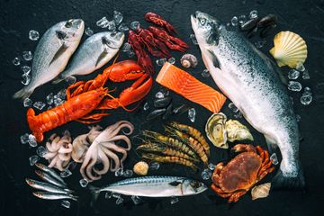 Suka Seafood? Anda Mungkin Menelan Hingga 11.000 Mikroplastik