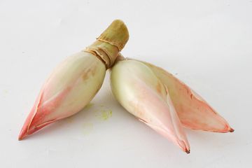 Tips Memilih Jantung Pisang Untuk Diolah Supaya Enak untuk Masakan