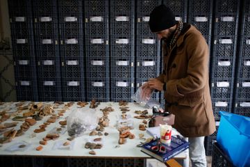 Potongan kerangka dan artefak yang ditemukan. 