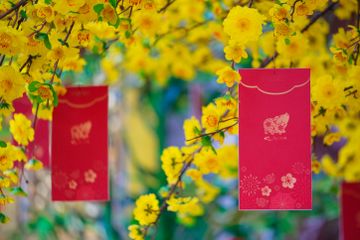 Perayaan Imlek Identik dengan Angpau, Apa Filosofi di Baliknya?